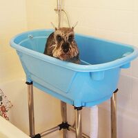 vasca da bagno gatti / cani • byaldino articoli per gatti