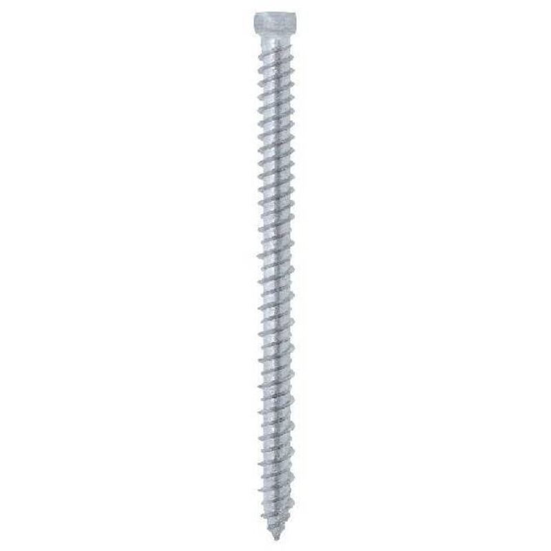 100 Viti Testa Cilindrica Brugola Inox A2 - M8 X 10 Mm (M8-1.25x10) - Rivercity Fastener