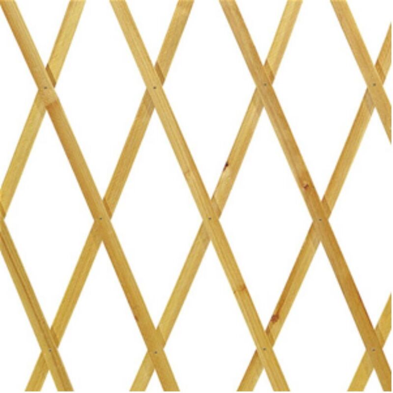 Traliccio In Legno Per Piante Rampicanti - 4x1 Mt, Rete Estensibile - Foto 10