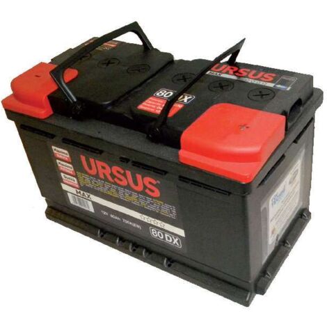 BATTERIA AVVIAMENTO AUTO URSUS  80 Ah mm. 313x175x190 h