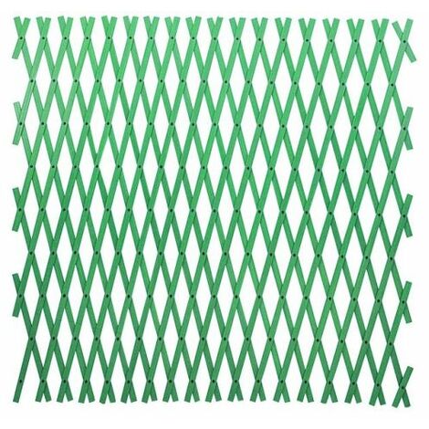 TRALICCIO PAPILLON PLASTICA MT 4X1 ESTENSIBILE PER GIARDINO COLORE VERDE (38581)