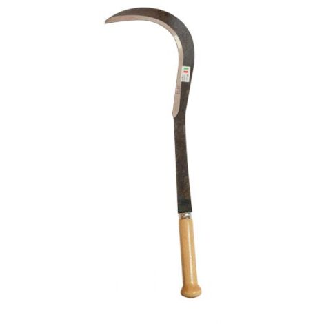 RONCOLA LAMA ACCIAIO MANICO LEGNO PER ROVETO FUNGHI CM 45 (38938)
