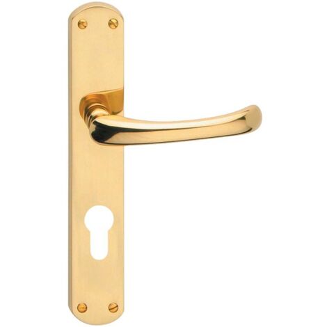 Maniglia 'Licia'  Con Placca In Ottone, Finitura Lucida 1 Coppia