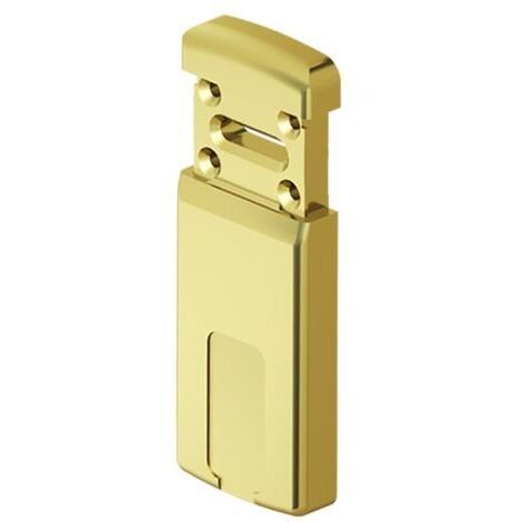 DEFENDER MAGNETICO PER SERRATURE 'MG 220' ottone cromo satinato