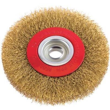 Spazzola Acciaio Circolare Con Foro Pg 486.00 Mm 100 F.Mm 13 - 5 Pz