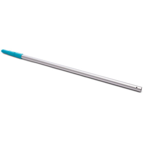 INTEX - 29054 - Asta telescopica Intex 29054 Lunghezza 239