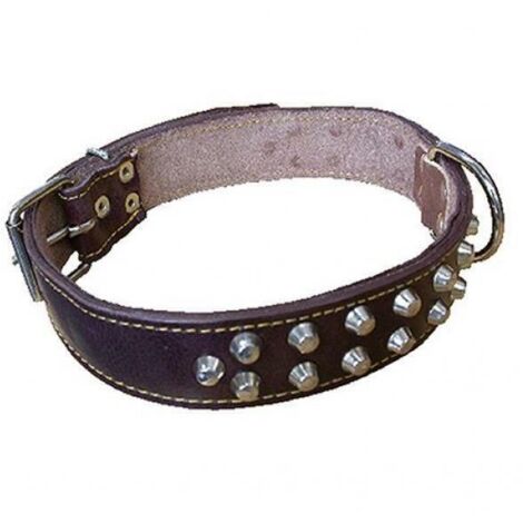 collare per cane in cuoio foderato con 2 file di borchie larg mm 40 lung cm 70