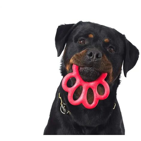 Gioco Per Cane Orma in Gomma Per Cani di Piccola e Media Taglia (1/5)