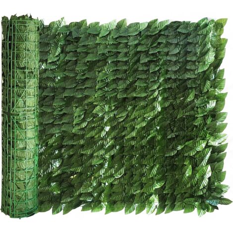 SIEPE EVERGREEN BRIXO EDERA 1X20MT