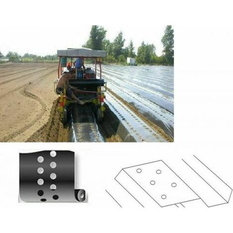 TELO PACCIAMATURA FORATO FILM POLIETILENE PER ORTO FORI PASSO 40 - Foto 12