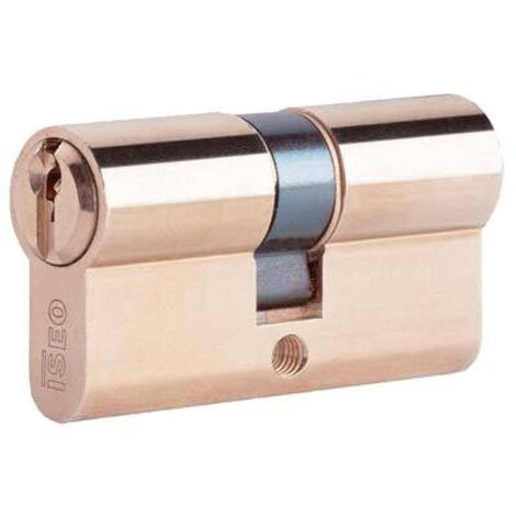 ISEO F5 8209 CILINDRO SAGOMATO 28-28 OTTONATO C/3CH