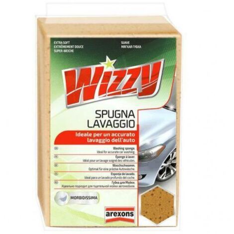 Spugna lavaggio auto (1/5)