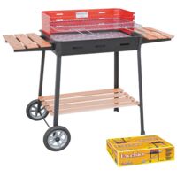 BARBECUE RETTANGOLARE '860 EXCELSIOR' cm 63 x 43 x H 88