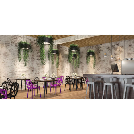 Designer Dining Chair - Hit White