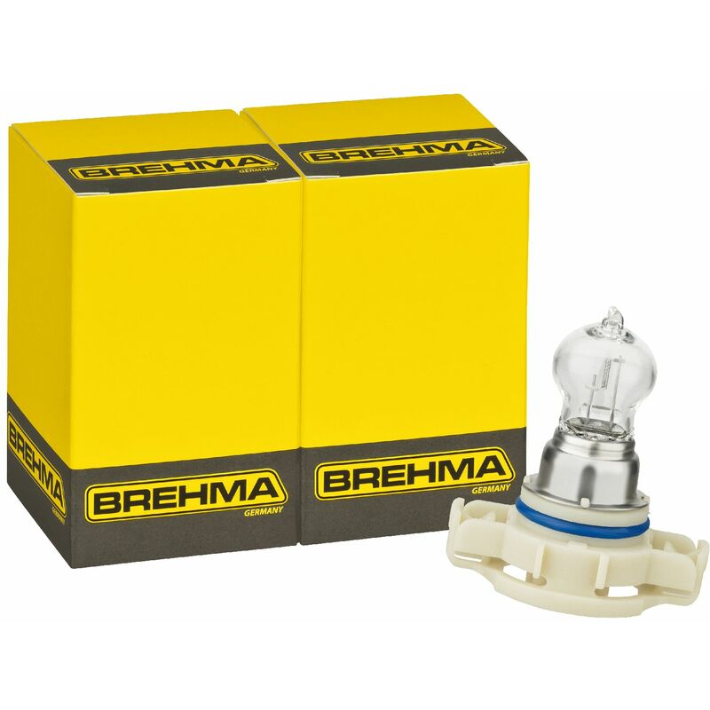 10x BREHMA Soffitte 12V 10W 11x30 SV8.5-8 30mm