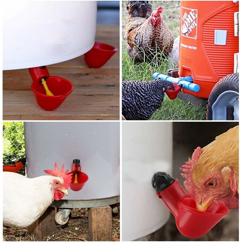 Mangeoire Pour Pigeons Et Oiseaux - Plastique Renforcé, 40x12x11.5 Cm | Distributeur Anti-Éclaboussures Pour Intérieur/Extérieur
