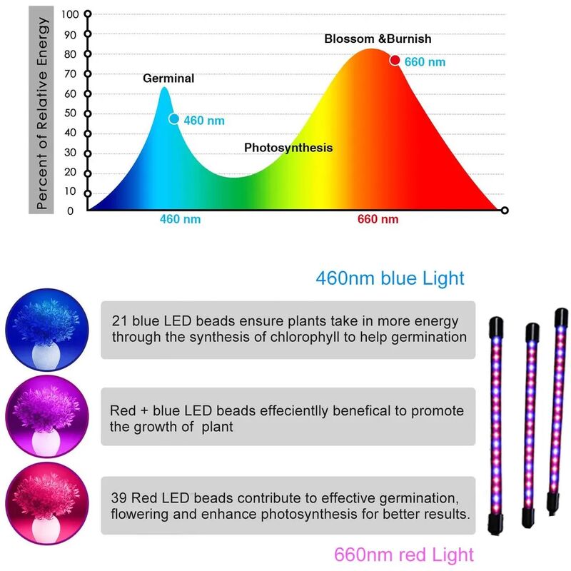 Acheter LED élèvent la lumière spectre complet Phyto poussent la lampe USB  Phytolamp pour les plantes 5V lampe pour l'éclairage de croissance des plantes  pour les plantes d'intérieur