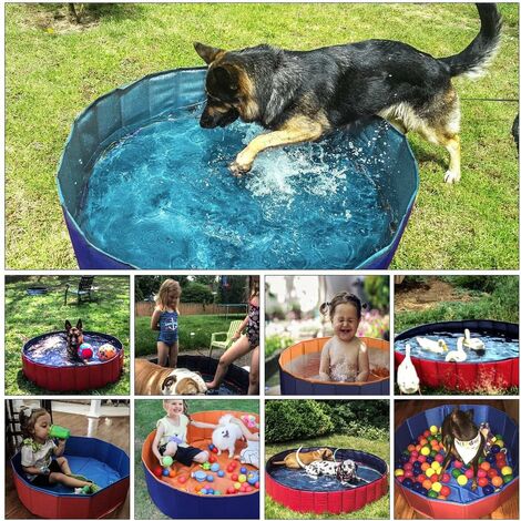 1 Ensemble Piscine Pour Chien Pliable Baignoire Pour Animaux - Temu Belgium