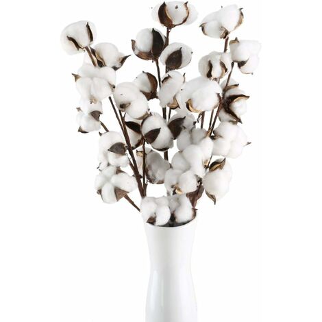 LITZEE 3 pièces branche de coton 10 têtes fleurs séchées naturellement  fleurs décoratives artificielles fleurs artificielles blanches fausses  fleurs logiques