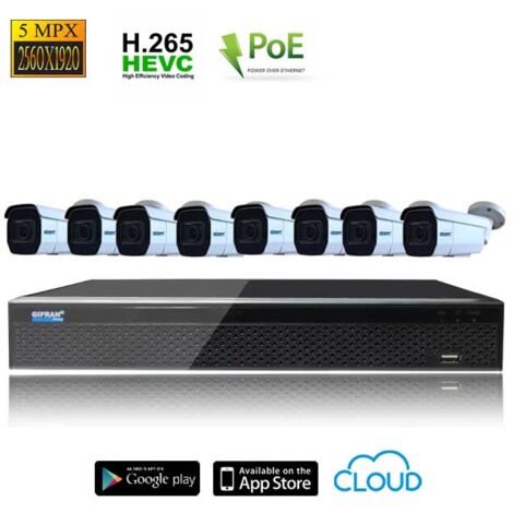 Kit 8 telecamere 5MPX - Videosorveglianza IP 1TB (1/4)