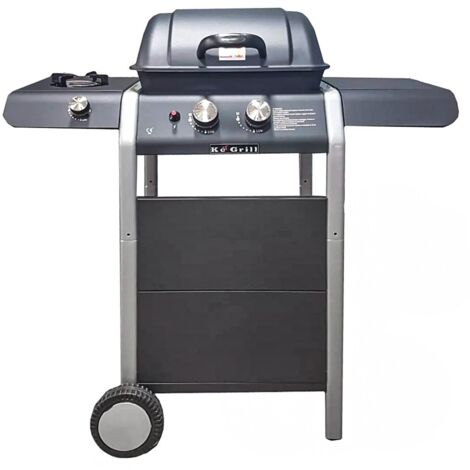 Barbecue a gas con due bruciatori in acciaio e coperchio