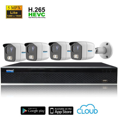 Kit Videosorveglianza ibrido 4 telecamere 1TB 2MPX - (1/4)