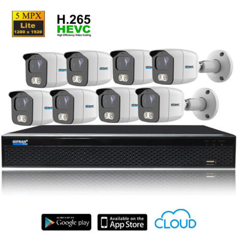 Kit Videosorveglianza economico 8 telecamere 1TB 2MPX - (1/4)