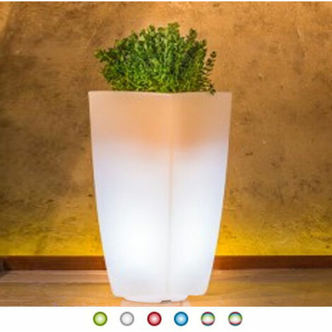 VASO ALTO FICUS 60 CON LUCE – Newgarden Shop IT