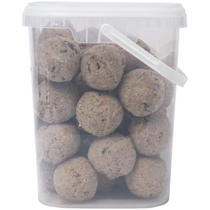 SQUAWK Boules De Graisse Premium Pour Oiseaux Sauvages - Nourriture Énergétique Toute L'Année, Riche En Protéines (10L)