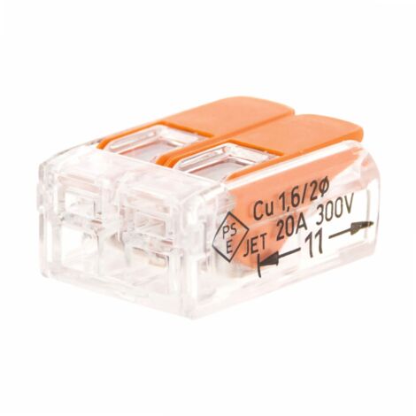 Wago – Borne automatique 2 entrées 4 mm² – Lot de 10 – Connexion rapide sans outil – Pour installation électrique professionnelle