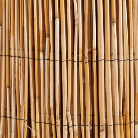 Canisse en roseau naturel WERKA PRO Longueur 5 m 1 x 5 m