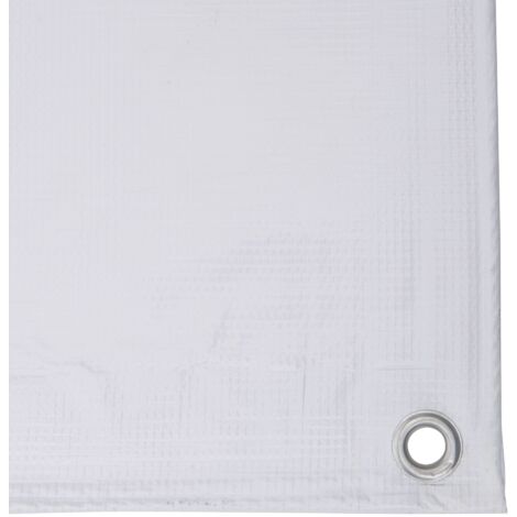 WERKA PRO Bâche Transparente 300g/m² - 4x8 M - Polyéthylène Armé, Œillets Aluminium