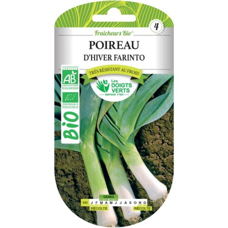 Graines De Poireau Géant D'hiver Kings - Sachet De 500 Graines - Pour Potager Et Récolte D'hiver