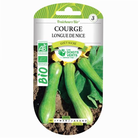 Graines courge longue de Nice BIO – Semis avril à juin – Récolte août à octobre – Parfaites pour potagers familiaux – Fabre Graines