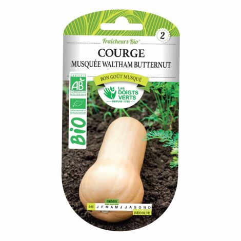 Graines Courge Musquée Waltham Butternut BIO Les Doigts Verts (1/5)