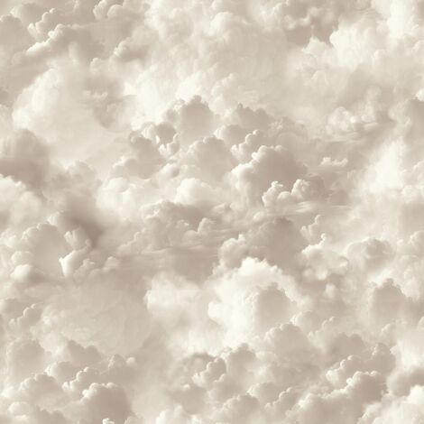 Arthouse Vanilla Skies Neutral Wallpaper Clouds Modern Contemporary Feature Wall (1/4)