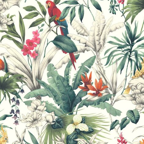 bird of paradise wallpaper