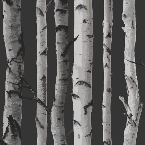 Fine Decor Charcoal Grey Birch Trees Forest Themed Feature Wallpaper (1/3)