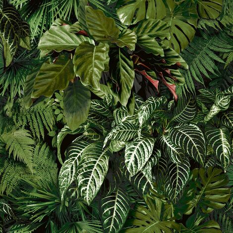 Grandeco Ciara Tropical Palm Green Wallpaper Botanical Modern Paste The Wall (1/4)