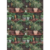 Potted Plants Wallpaper Floral Botanical Kitchen Paste The Wall Vinyl Erismann