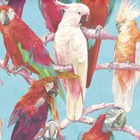 Parrots Birds Tree Feather Wallpaper Blue Red Pink Cream Animal Print Paste Wall