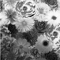 Arthouse Floral Bloom Mono Foil Metallic Wallpaper Black Silver Vinyl Flowers