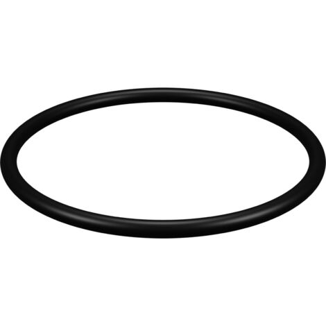 Joint compatible pour carter porte filtre Junior - Senior - Pallas II et duo (1/3)