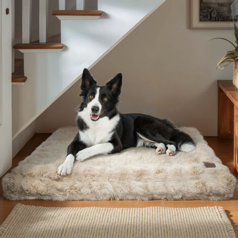 BingoPaw Dog Bed with Removable Washable Cover for Small Medium Large Jumbo Dogs - Khaki 76x51x10cm