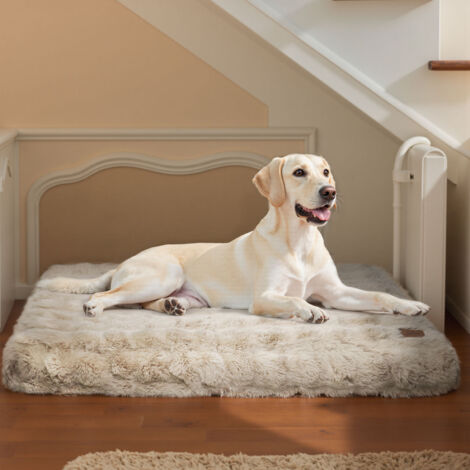 BingoPaw Dog Bed with Removable Washable Cover for Small Medium Large Jumbo Dogs - Khaki 120x90x12cm