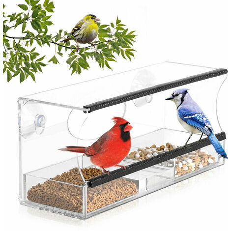 Clear Window Bird Feeder Table Seed Nut Hanging Suction Clear View Small Birds 