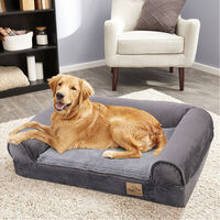 BingoPaw Traditional Large Dog Bed Pet Cuddler Couch Lounger Removable Cover - Grey - Size XL