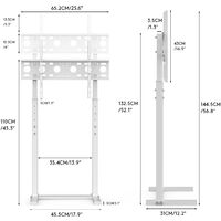Flat TV Floor Stand with Mount for Samung LG Vizio, 32 42 50 55 60 65 in