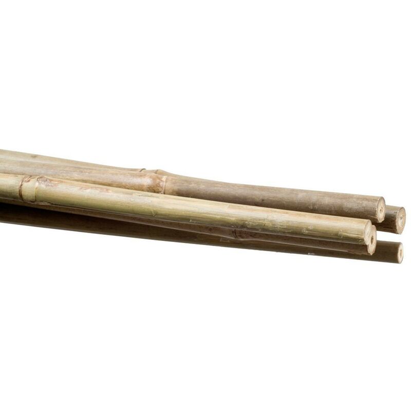Stocker BambusPflanzenhalter 6 8 mm 60 cm