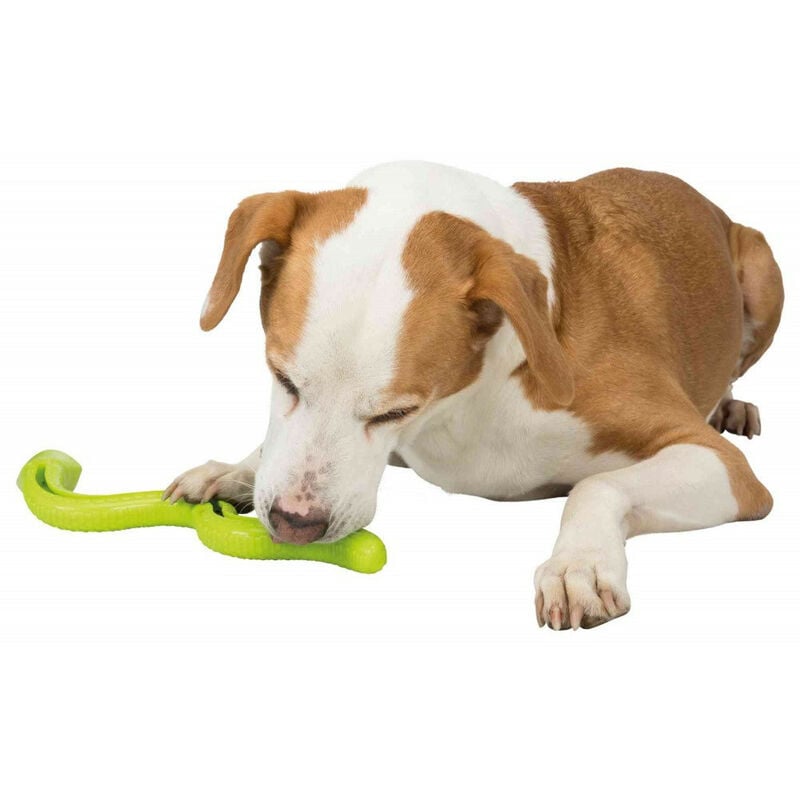 jugar al escondite serpiente en forma de serpiente para perro. longitud 42 cm